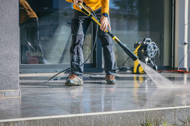 Best Animal Enclosure Cleaning  in Rainelle, WV