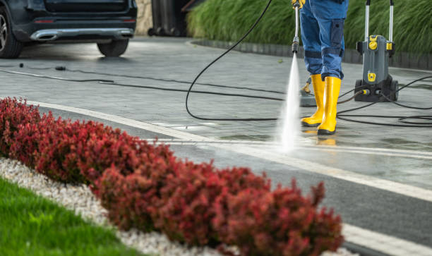 Best Roof Washing  in Rainelle, WV